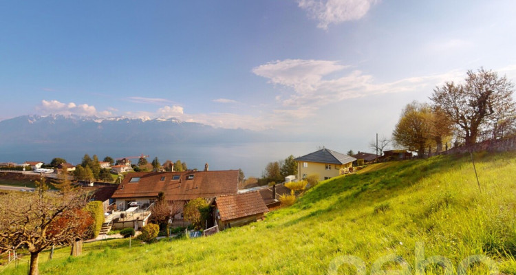 Terrain à bâtir avec vue panoramique sur le lac et les Alpes image 5