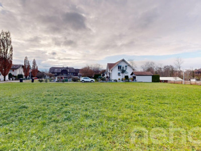 Bauland an guter Lage in Steffisburg image 8