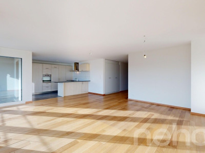 Bel appartement lumineux avec vue sur le lac ! image 5