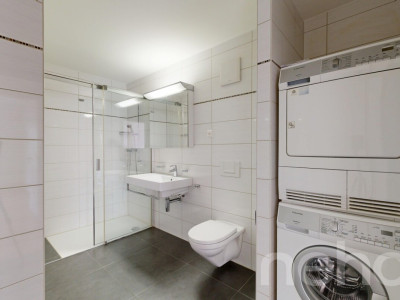 Bel appartement lumineux avec vue sur le lac ! image 10