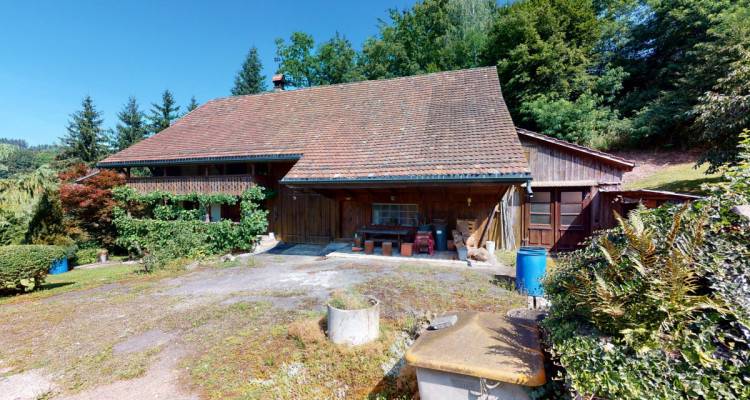 Ein Bijou für Naturliebhaber image 1