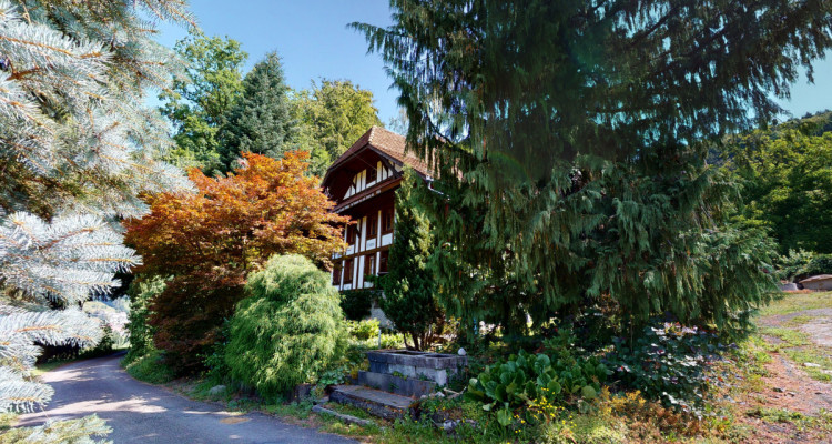 Ein Bijou für Naturliebhaber image 2