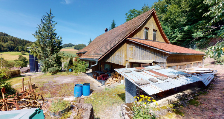 Ein Bijou für Naturliebhaber image 3