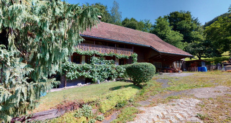 Ein Bijou für Naturliebhaber image 4