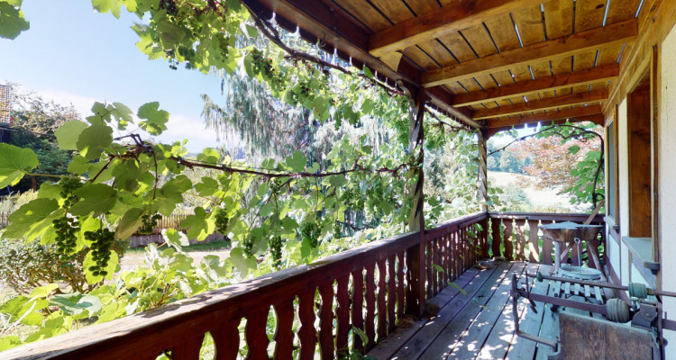 Ein Bijou für Naturliebhaber image 5