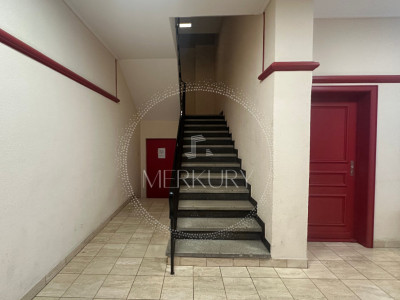 Un charmant apparement de 3P situé dans la région de Pâquis  image 1