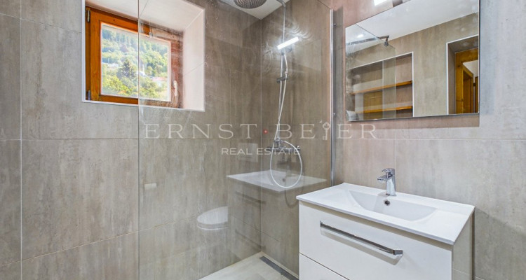 Immeuble de rendement de plusieurs appartements image 5