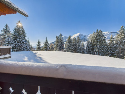 Chalet mitoyen de 4.5 pièces dans un cadre féerique image 9