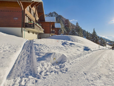Chalet mitoyen de 4.5 pièces dans un cadre féerique image 10