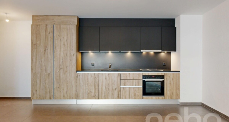 Monthey - lumineux 4,5 pièces image 1