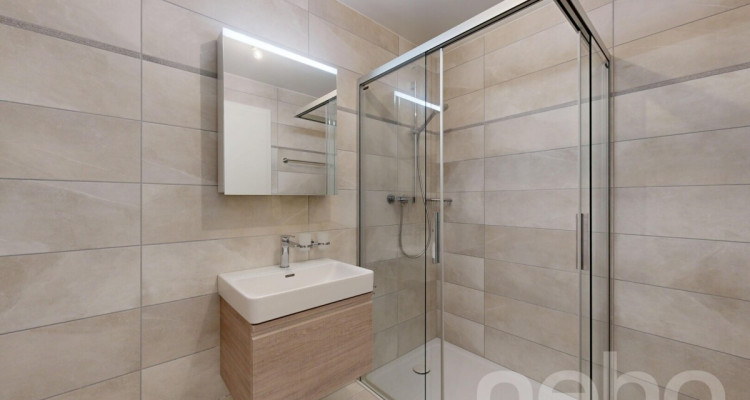 Monthey - lumineux 4,5 pièces image 7