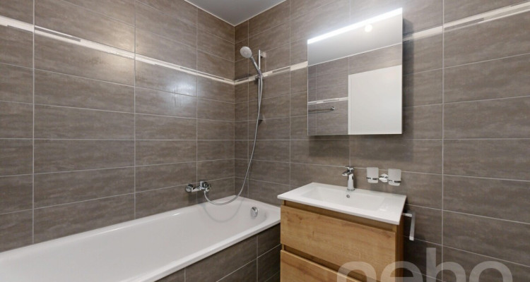 Monthey - lumineux 4,5 pièces image 8