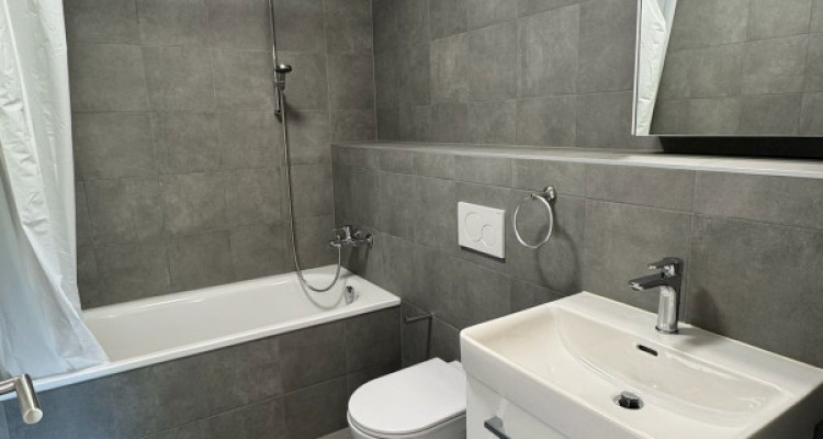 BIJOU EXCEPTIONNEL À PREGNY-CHAMBÉSY : 5.5 PIÈCES NEUF (2022) RIVE DROITE ! 🌳 image 4