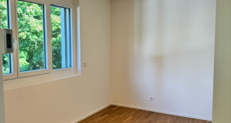 BIJOU EXCEPTIONNEL À PREGNY-CHAMBÉSY : 5.5 PIÈCES NEUF (2022) RIVE DROITE ! 🌳 image 8