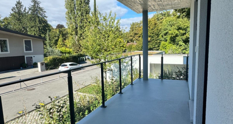 BIJOU EXCEPTIONNEL À PREGNY-CHAMBÉSY : 5.5 PIÈCES NEUF (2022) RIVE DROITE ! 🌳 image 9