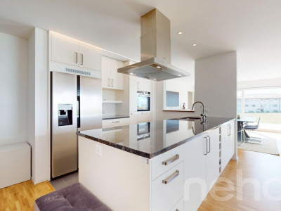 Magnifique Villa, transformable en deux logements image 2