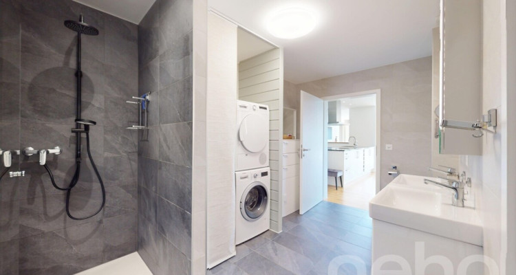 Magnifique Villa, transformable en deux logements image 9