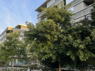 🏡 Reprise de bail – 3,5 pièces, Chavannes-près-Renens au : 01.01.2026 image 6