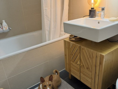 🏡 Reprise de bail – 3,5 pièces, Chavannes-près-Renens au : 01.01.2026 image 8