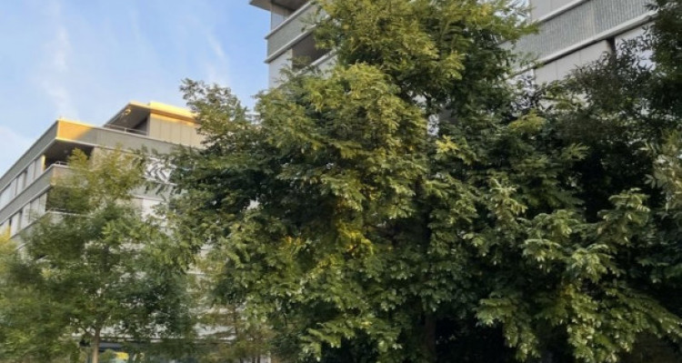 🏡 Reprise de bail – 3,5 pièces, Chavannes-près-Renens au : 01.01.2026 image 6