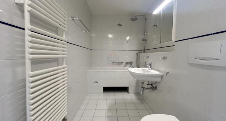 Magnifique maison villageoise avec piscine image 11