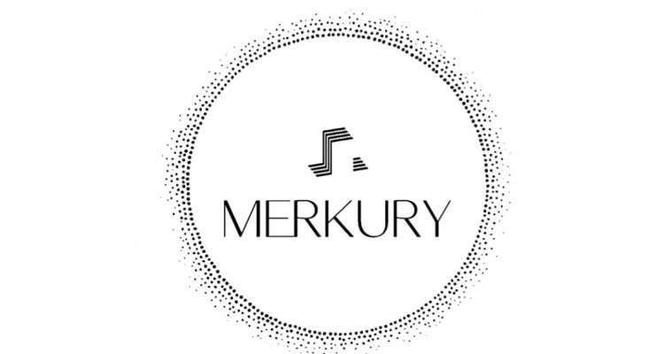 Un magnifique 3,5P au centre ville  image 1