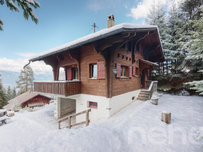 Chalet à 1300m avec vue panoramique montagnes image 1