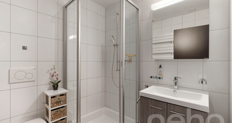 Spacieux et moderne - 4,5 pièces à Collombey image 10