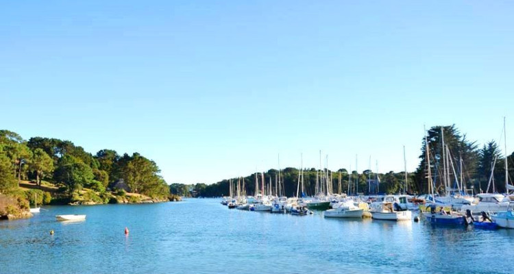 PROPRIÉTÉ PIEDS DANS LEAU AVEC MANOIR, CHAUMIÈRE, LONGÈRE DE 2 LOGEMENTS  image 3