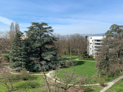 Superbe appartement 6 pièces image 5