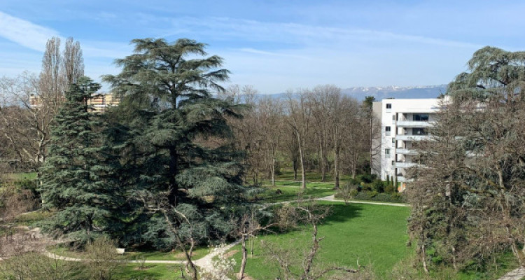 Superbe appartement 6 pièces image 5