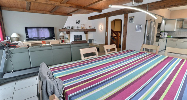 Grande maison de 2 logements avec piscine en viager occupé sans rente image 7