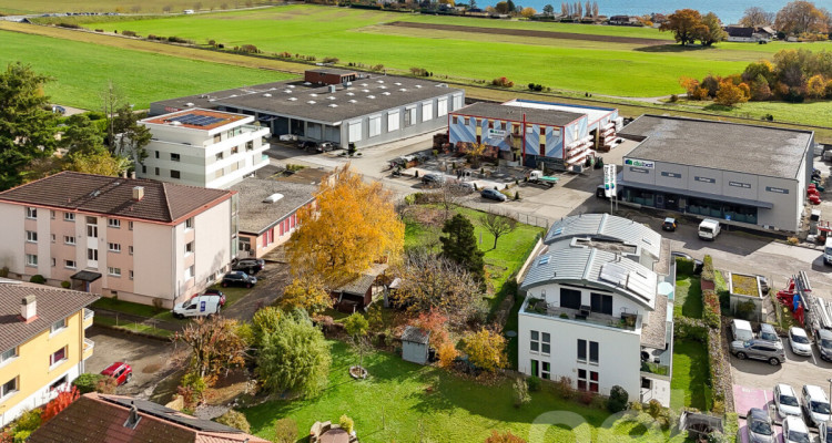 TERRAIN RARE, CADRE IDYLLIQUE ET EXPOSITION PLEIN SUD image 5