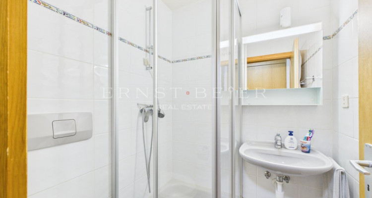 Charmant studio à deux minutes à pied du bord du lac image 4