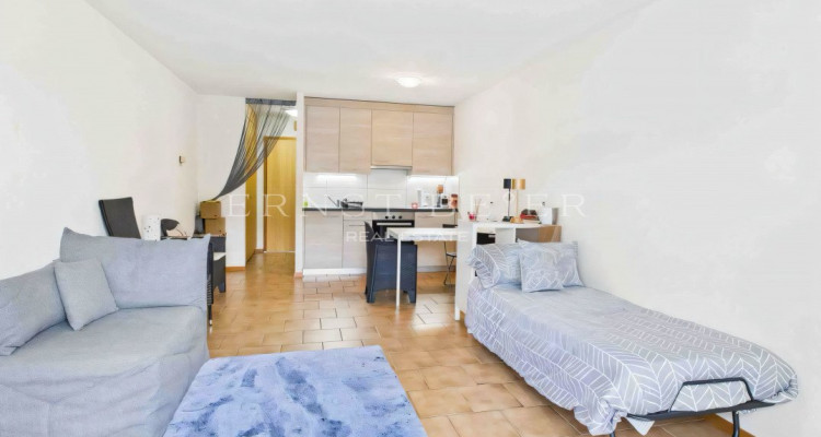 Charmant studio à deux minutes à pied du bord du lac image 2