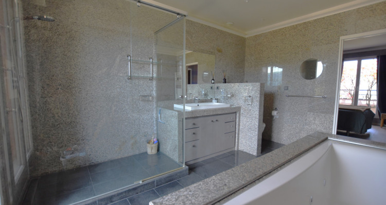 EXCEPTIONAL LIGHTFUL ATTIC - WONDERFUL VIEW  FROM THE MONT-BLANC TO THE JURA image 9