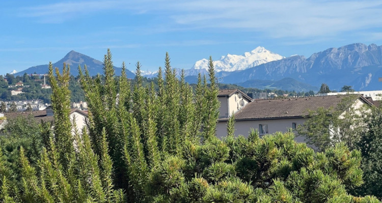 EXCEPTIONAL LIGHTFUL ATTIC - WONDERFUL VIEW  FROM THE MONT-BLANC TO THE JURA image 1