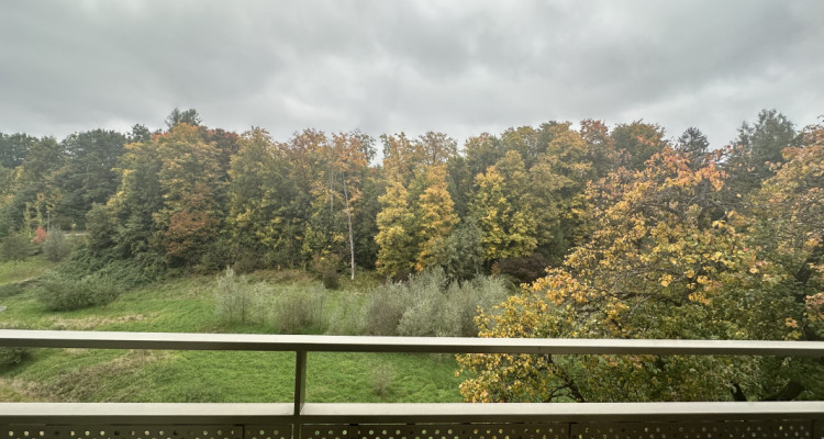 🏡 Reprise de bail – 2 pièces, Marly au 16.01.202 image 4