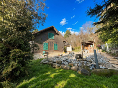 Sonnenberg - Balance zwischen Ruhe und Dynamik image 5