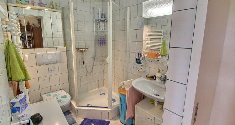 Grande maison en viager occupé sans rente limité à 5 ans image 9