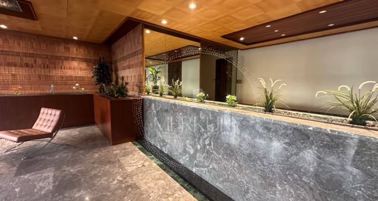 Charmant 3P à Champel image 1