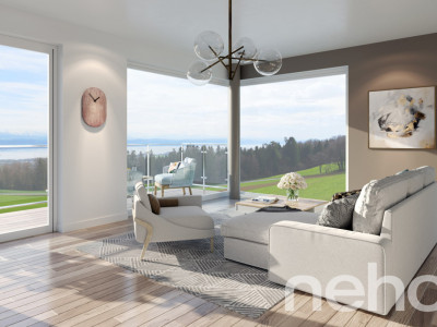 Votre appartement avec vue 180° sur le lac, terrasse et jardin privé ! image 4