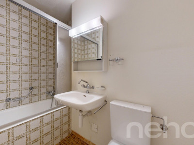 Attique ? Vue panoramique sur le lac et les Alpes image 8