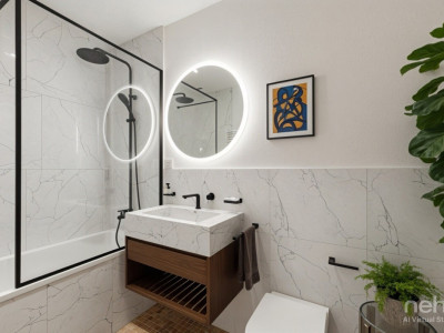 Attique ? Vue panoramique sur le lac et les Alpes image 10