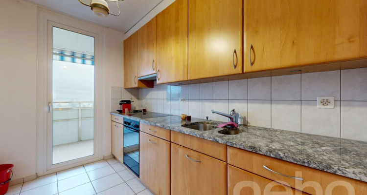 Attique ? Vue panoramique sur le lac et les Alpes image 4