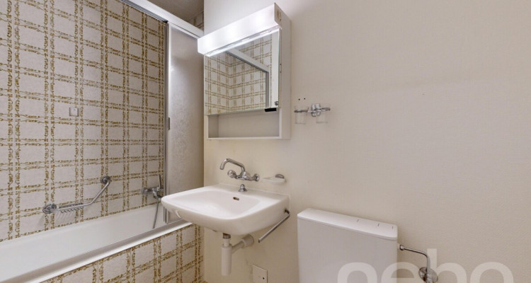 Attique ? Vue panoramique sur le lac et les Alpes image 8