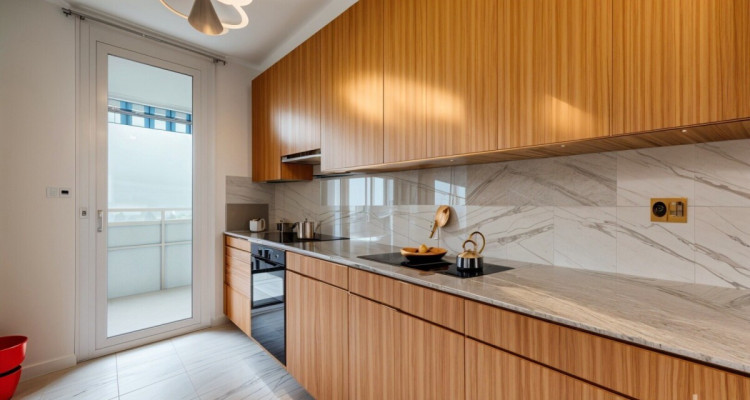 Attique ? Vue panoramique sur le lac et les Alpes image 9