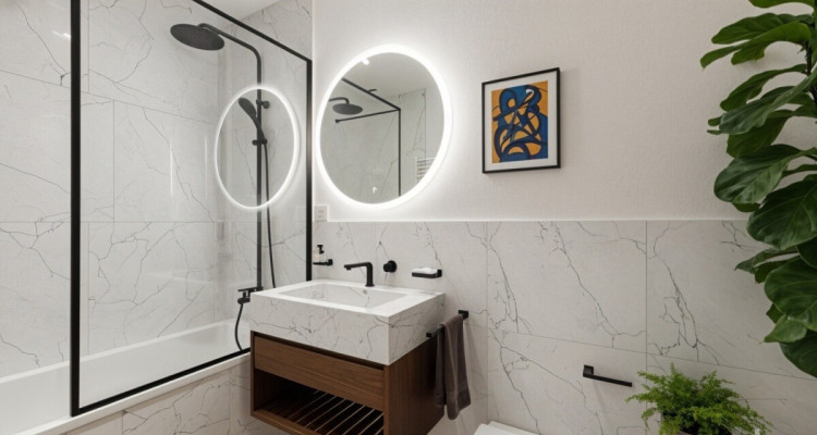 Attique ? Vue panoramique sur le lac et les Alpes image 10