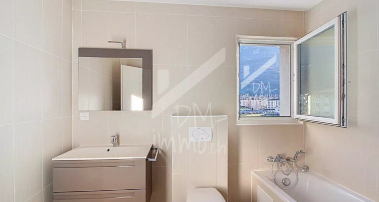 Attique traversant et lumineux, proche centre image 7