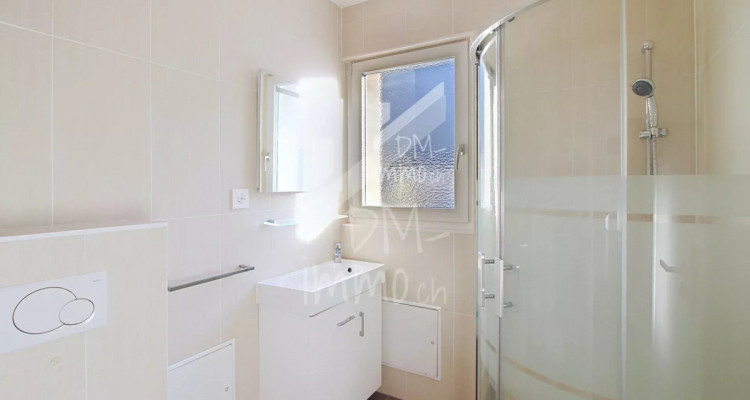 Attique traversant et lumineux, proche centre image 8